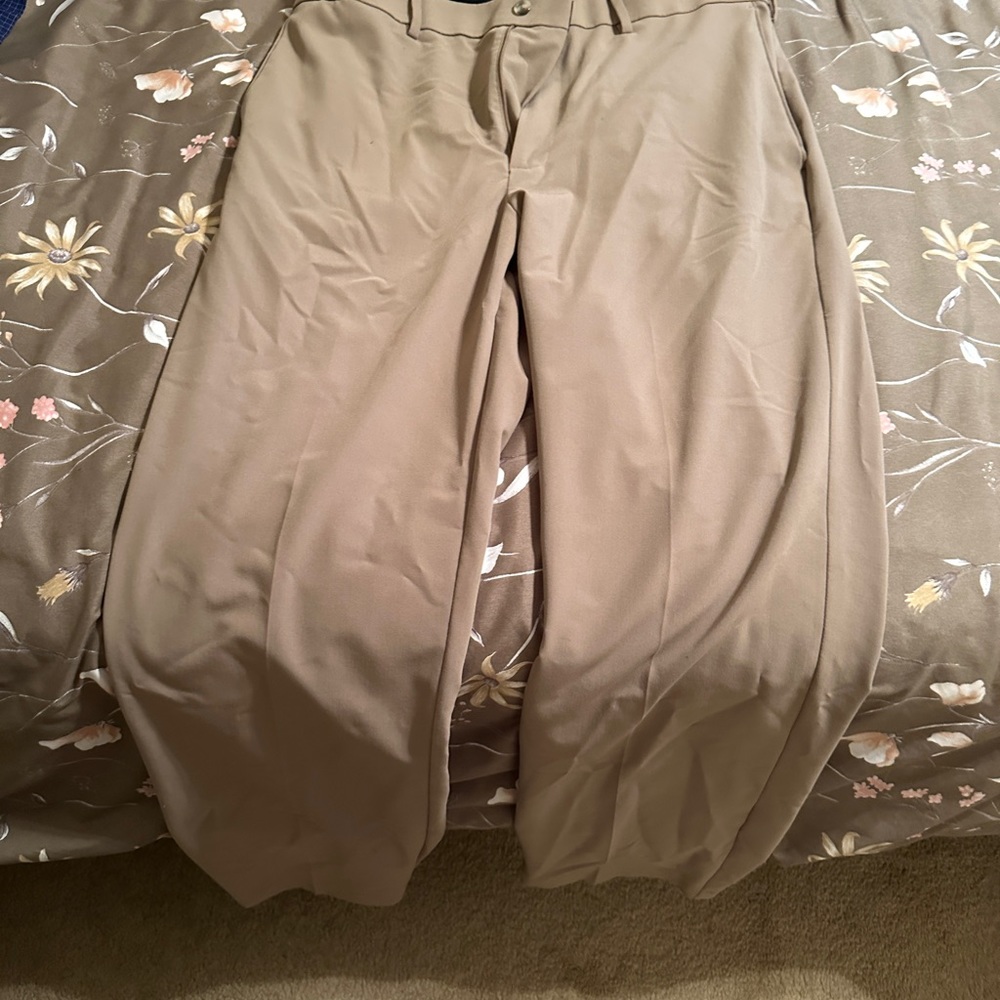 Savane never worn dress pants. Come from a non smoking home.
